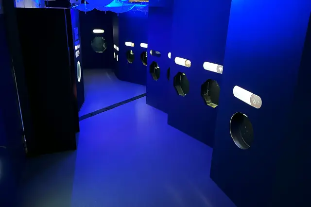 真っ暗な中にクラゲが浮かび上がるクラゲコーナー