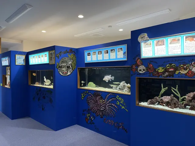 ここでしか見られない展示物も並ぶ「さかなクンコーナー」