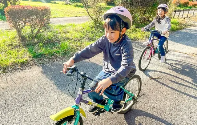 森林の中のサイクリングロードを爽快に走り抜ける