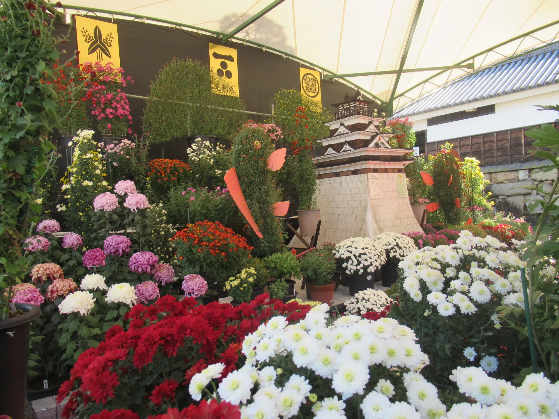 広島城大菊花展
