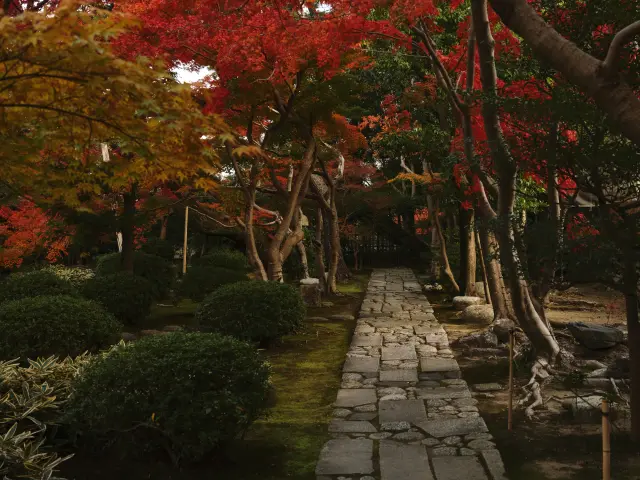 四季折々の風景が美しい