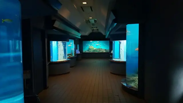 渋川マリン水族館