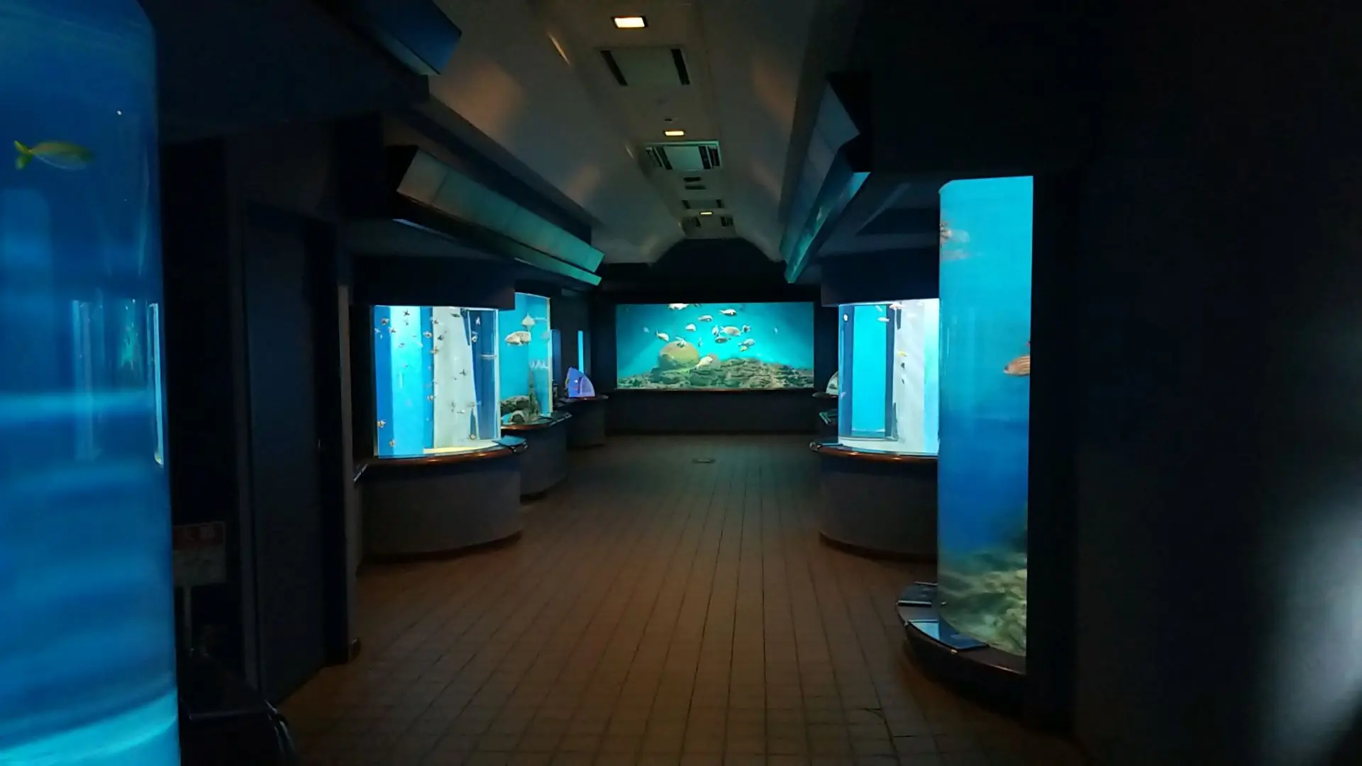 渋川マリン水族館