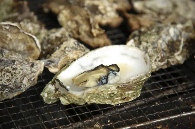 広島県産のカキを焼きガキやフライなどさまざまなメニューで