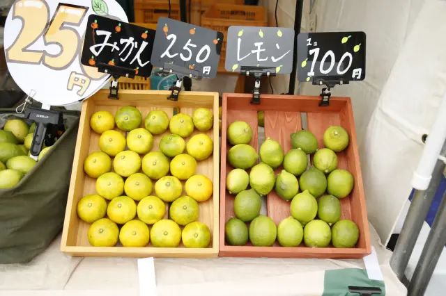 大崎上島町のとれたてレモンとみかんなど季節の果物や野菜の販売も