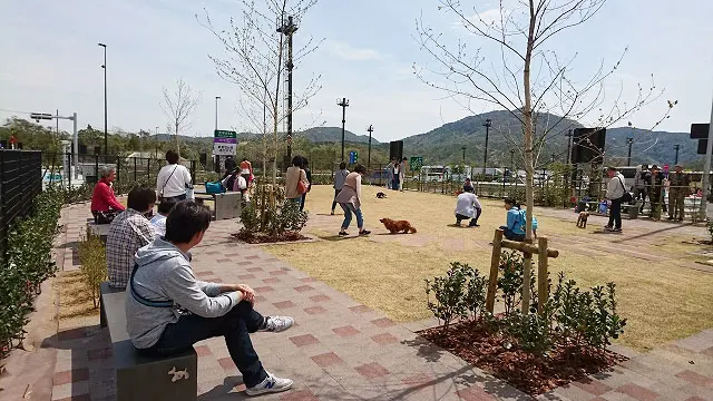 ドライブ途中に愛犬を遊ばせられる屋外ドッグラン