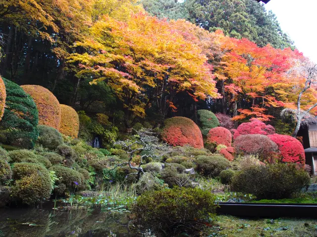 秋は、赤や黄色が庭園を彩り、より一層趣深くなる