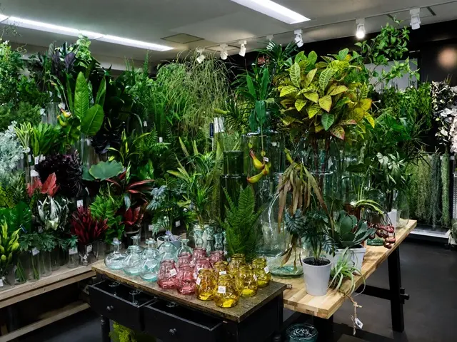 2階では観葉植物も取り扱う