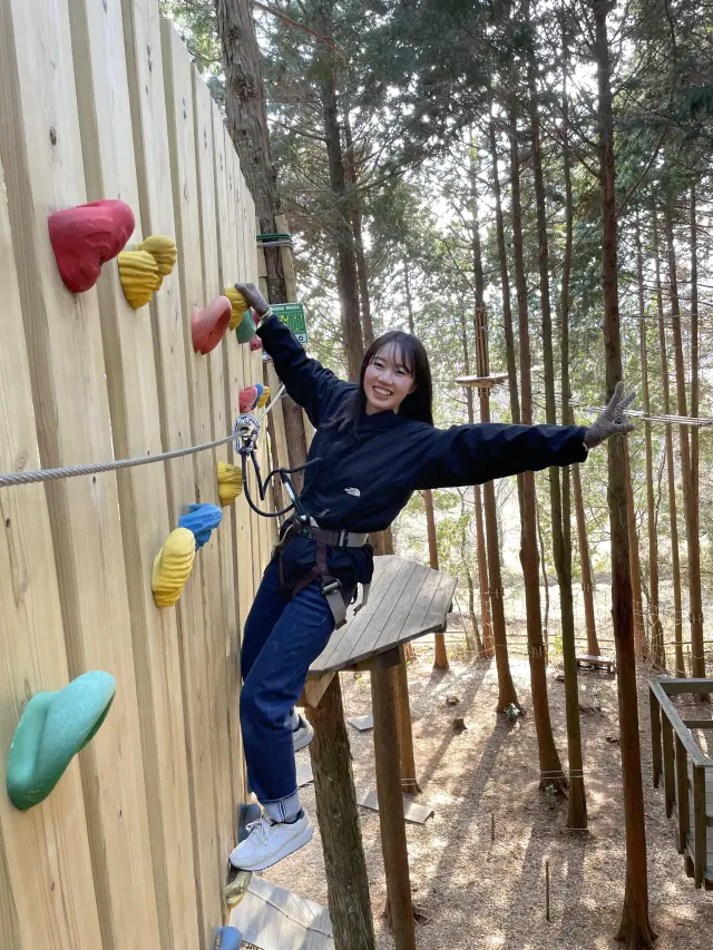 多彩な樹上アクティビティが楽しめる