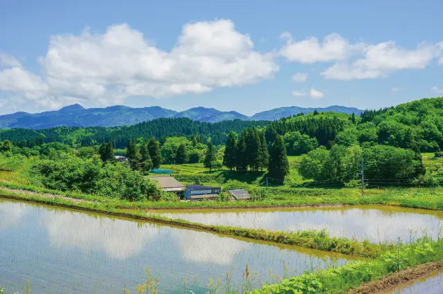 郷愁を誘うのどかな日本の原風景にもほっと和む
