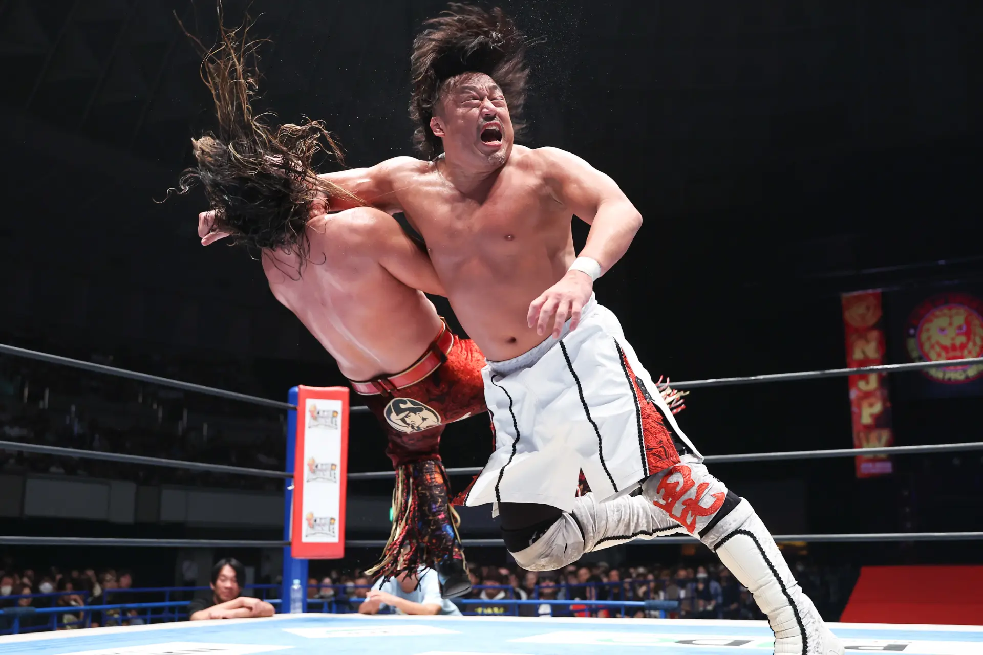 New Japan Pro-Wrestling