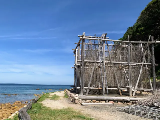 竹の塩田を使って濃縮した海水が「またいちの塩」へ