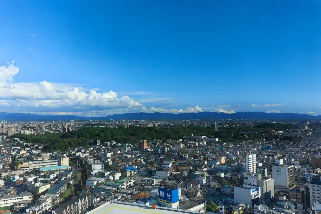 地上80mからの眺めは壮観