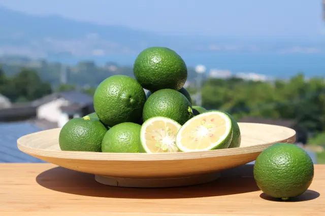青果の大きさはテニスボールほどのかぼす