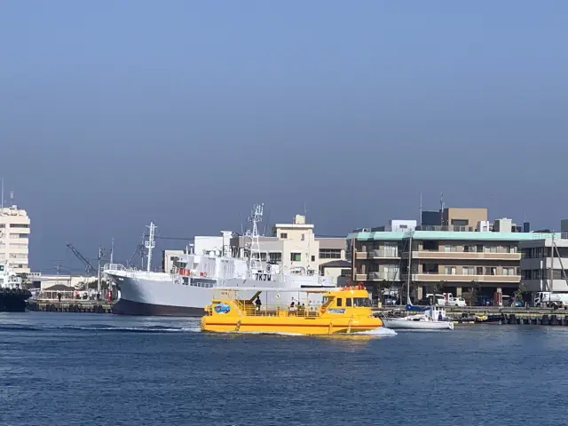 從三崎港出航