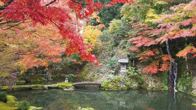 畳の上から見る荎草園