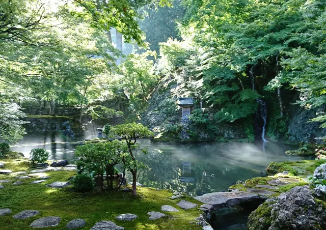 夏には青紅葉が庭を覆う