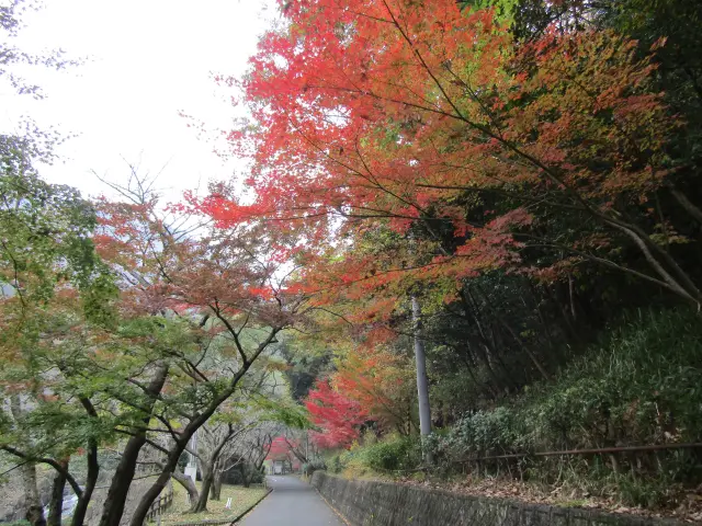 紅葉時期も素晴らしい光景に出会える