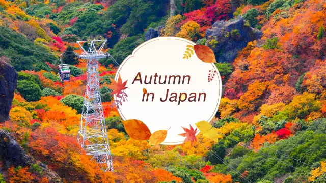 Autumn in Japan 2025