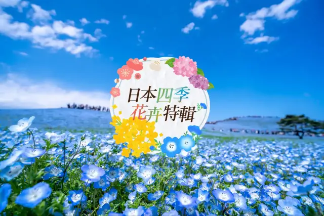 日本四季花卉特輯