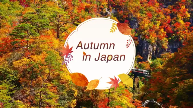 Japan’s Spectacular Fall Colors