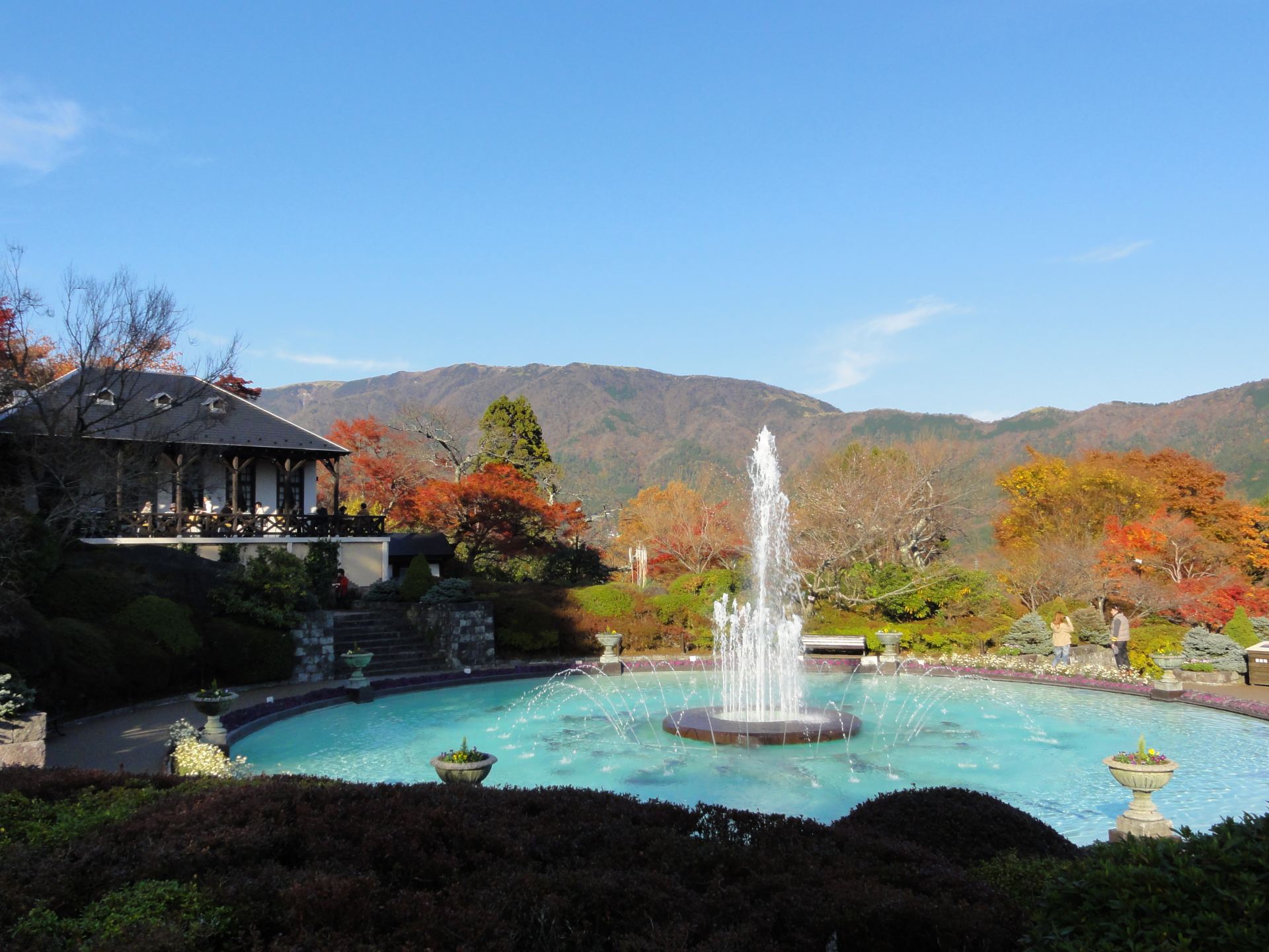 秋季箱根2日1夜遊 楓葉 強羅公園 大涌谷 還有一望無際的芒草原野和美麗的富士山 好運日本行
