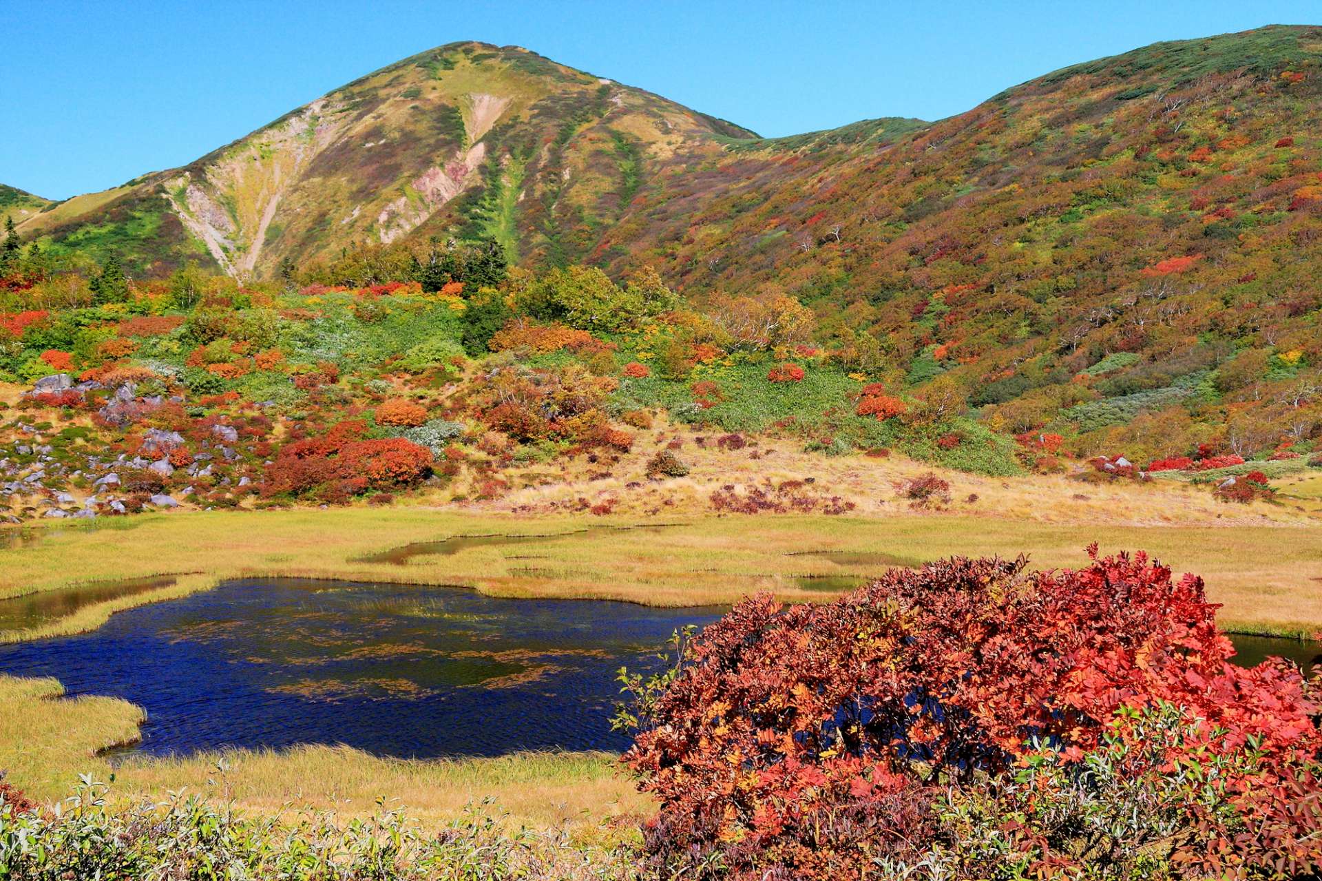 17年日本全國各地的推薦賞楓景點 10月篇 好運日本行