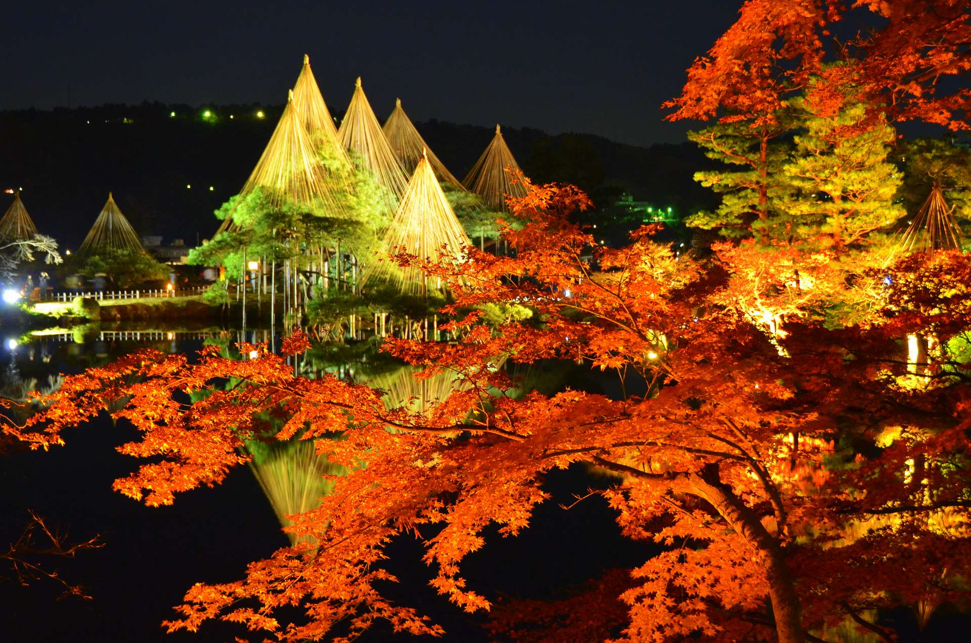 日本赏枫 观赏枫叶的最佳时期在11月的必看红叶景点总整理 好运日本行