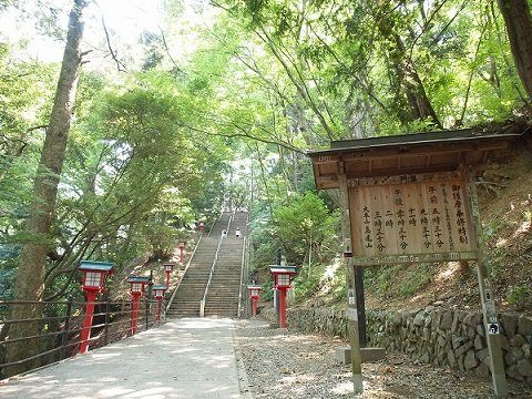从东京都心只需50分钟的东京的后花园 东京最人气的红叶观景地点 高尾山 好运日本行