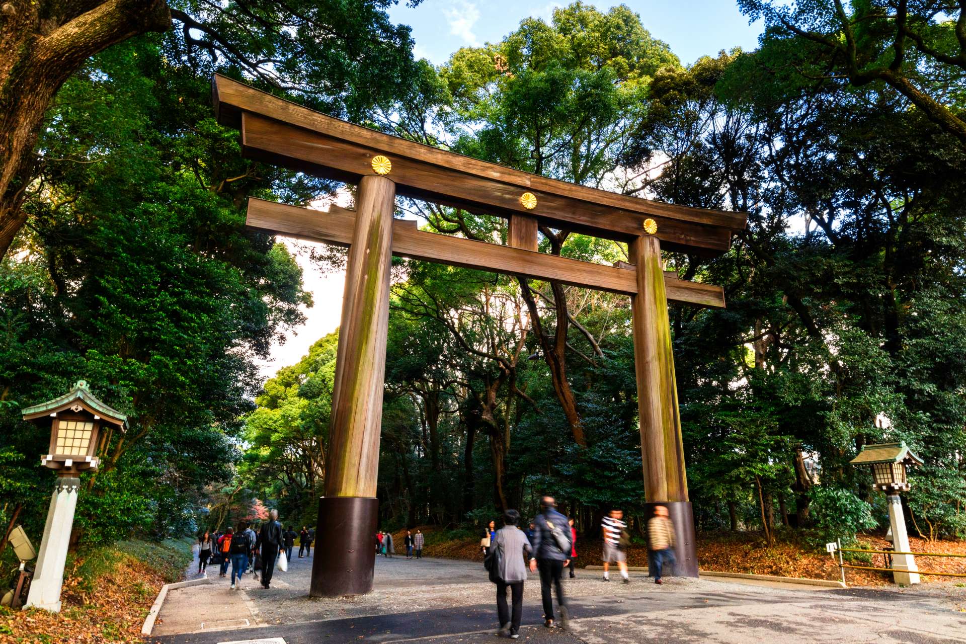 明治神宮該怎麼參拜 介紹最人氣的參拜路線 好運日本行