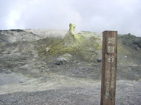 漫步於室堂周边的高山植物林中 享受日本最高处的温泉纵贯立山黑部阿尔卑斯山脉路线之旅 富山县 好运日本行