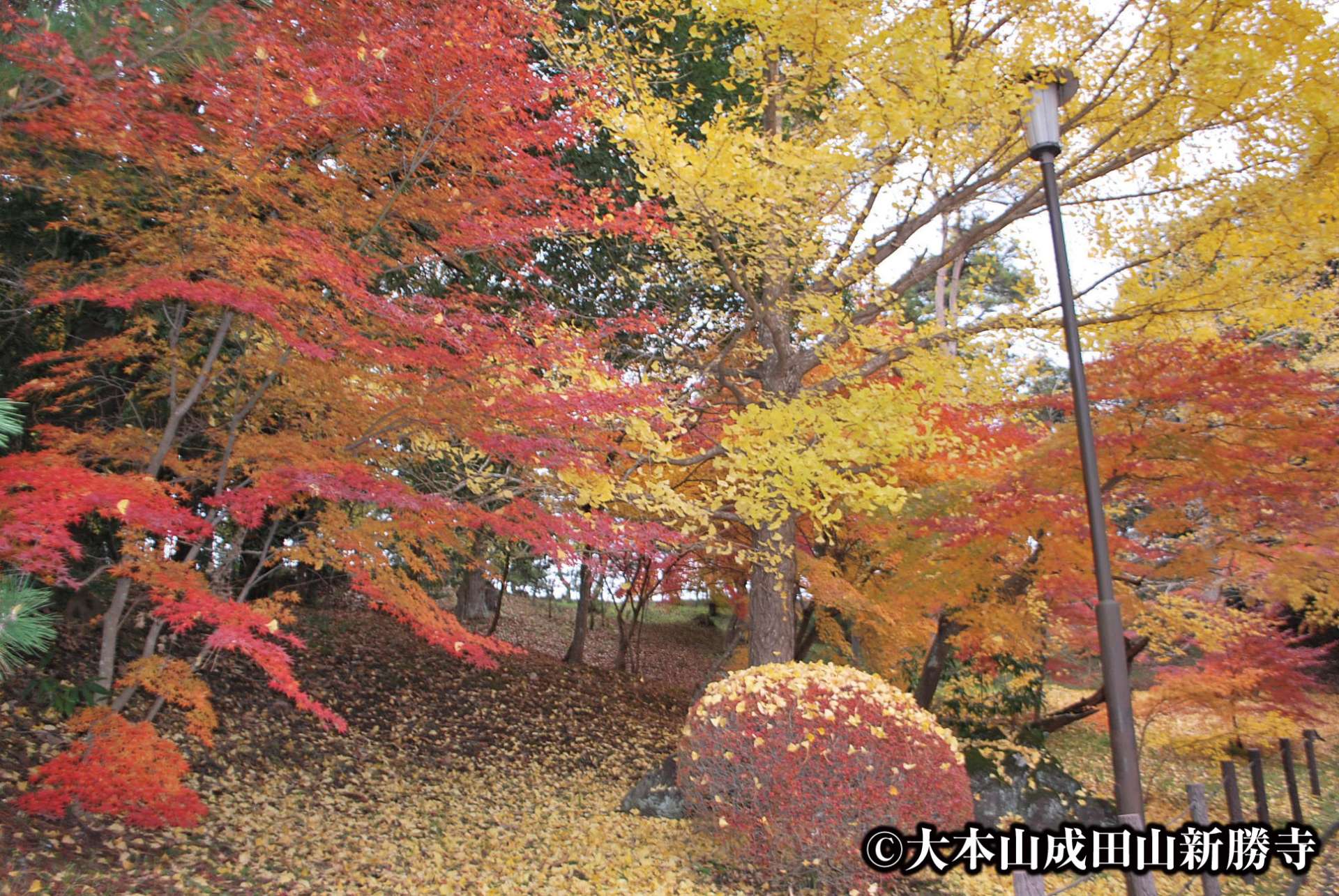 介紹成田市的景點 適合回國時在 成田機場 搭機的遊客 盡情暢遊到最後一天回國的前一刻 成田機場 周邊篇 Part1 好運日本行