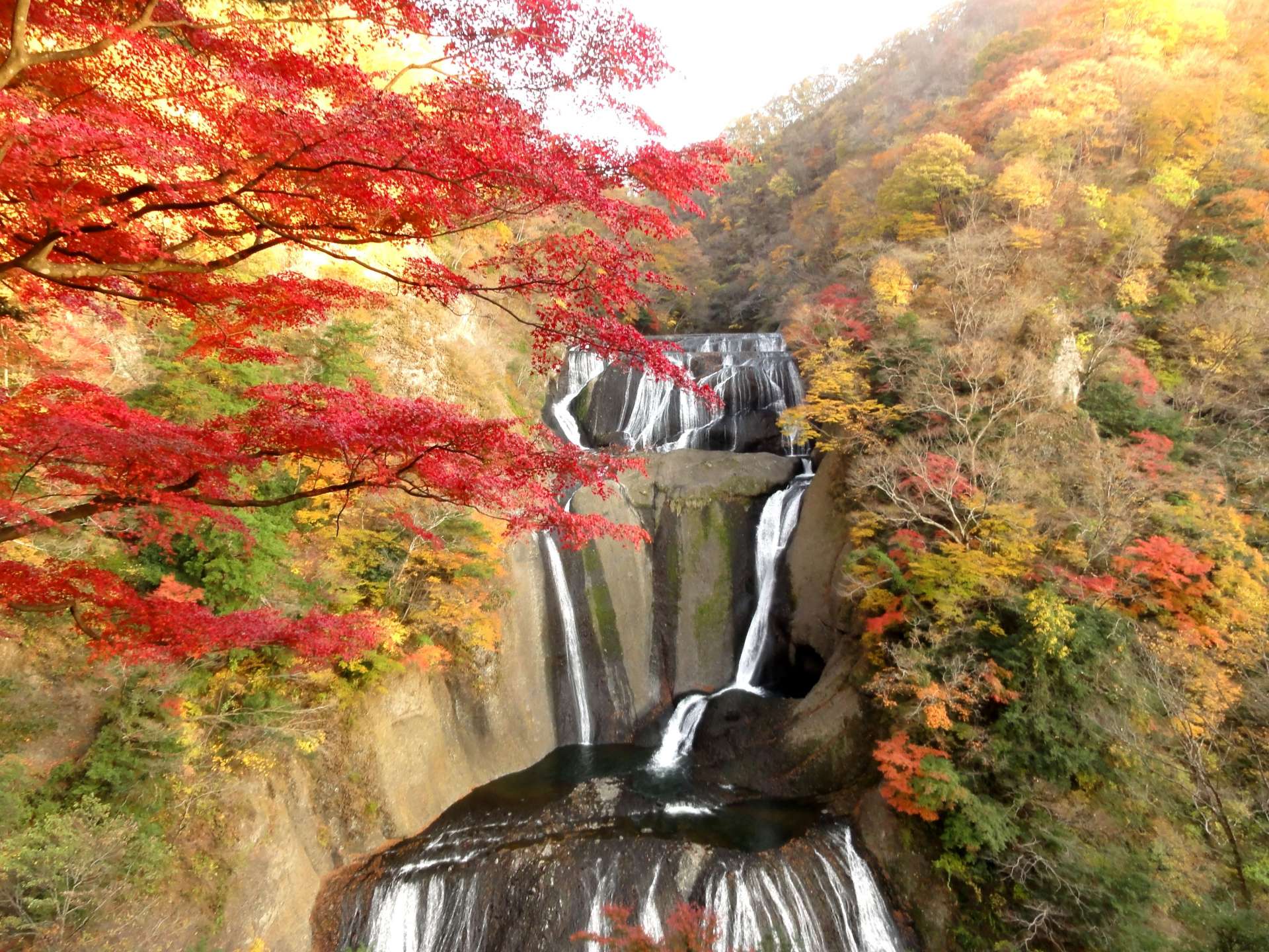 茨城的紅葉名所 袋田瀑布 當天返回的行程 好運日本行