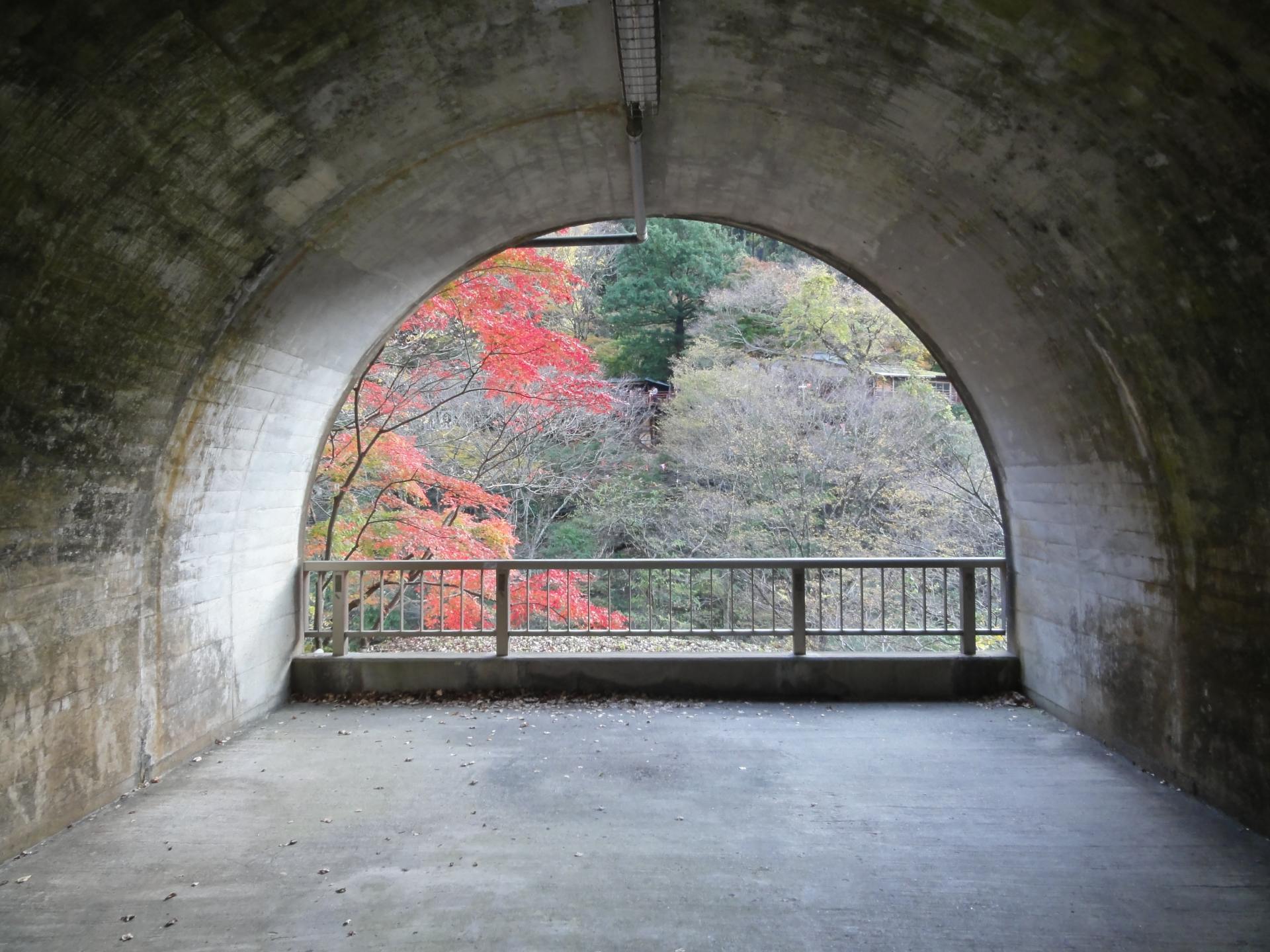 茨城的红叶名所 袋田瀑布 当天返回的行程 好运日本行