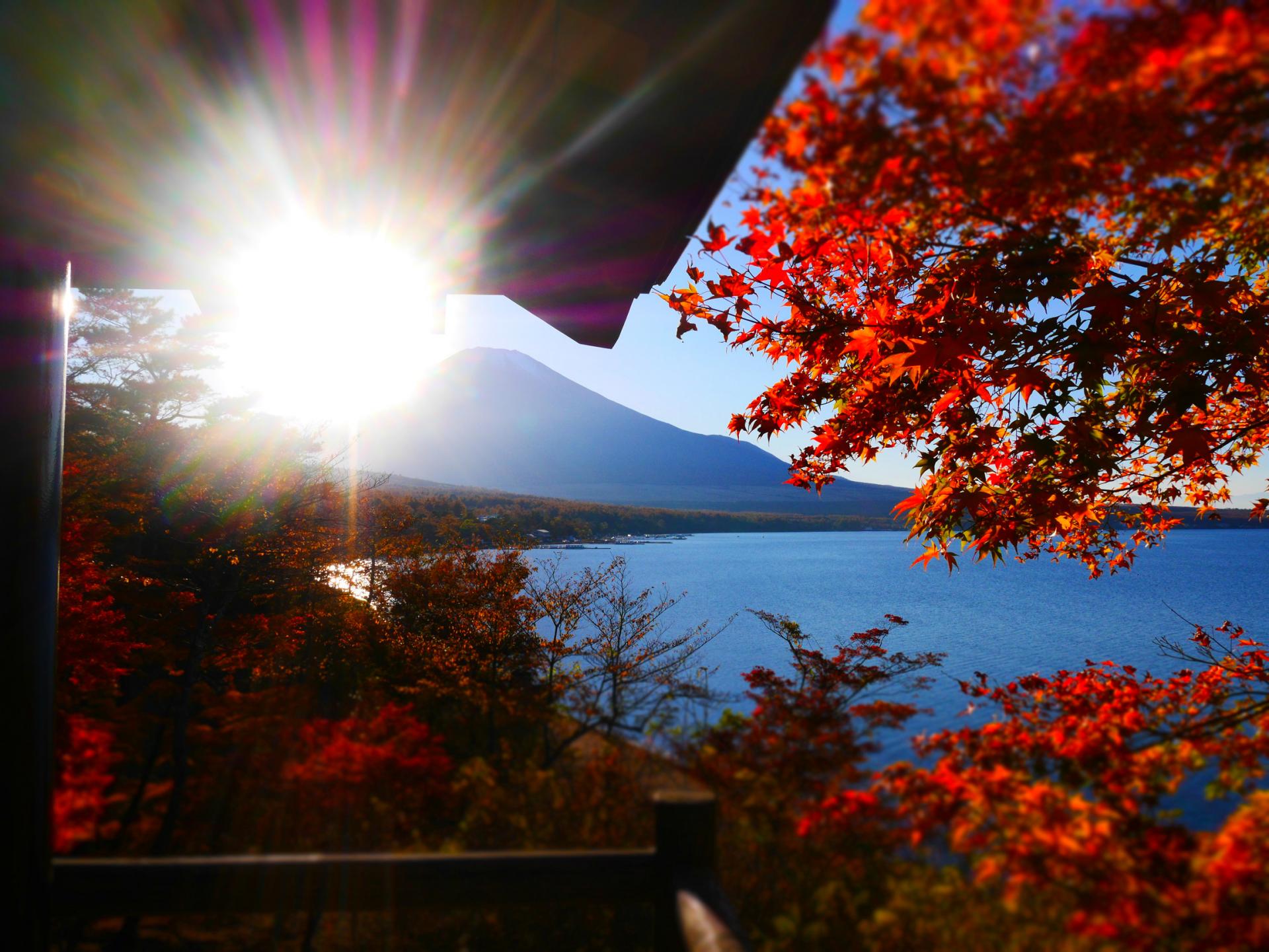 山梨紅葉景點山中湖 欣賞湖畔晚霞與楓葉之絕景 好運日本行