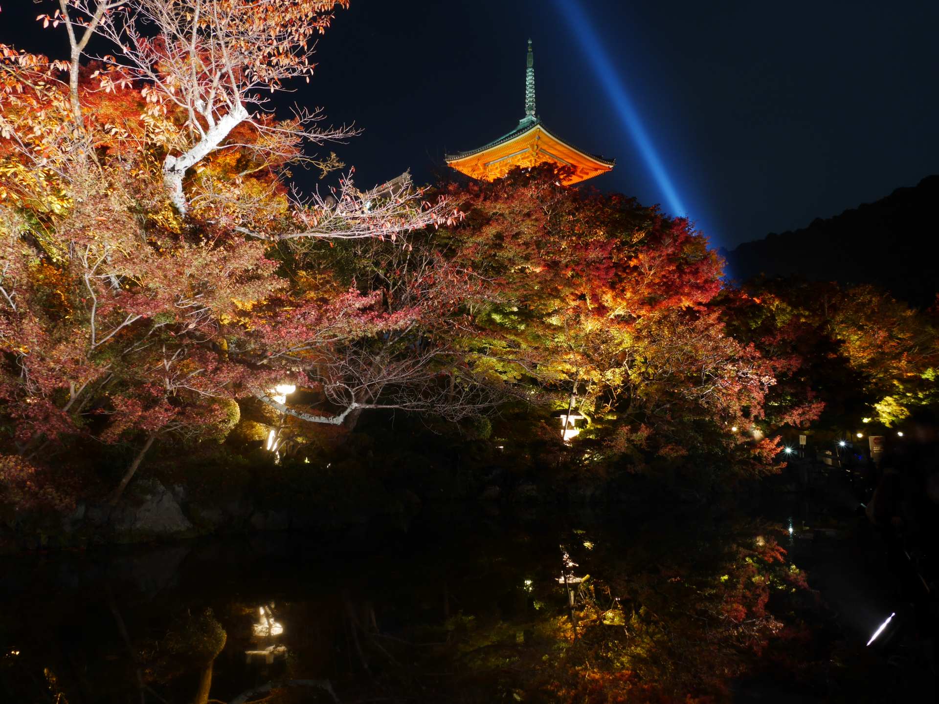 京都红叶 清水寺 特别点灯 16年11月17日 好运日本行