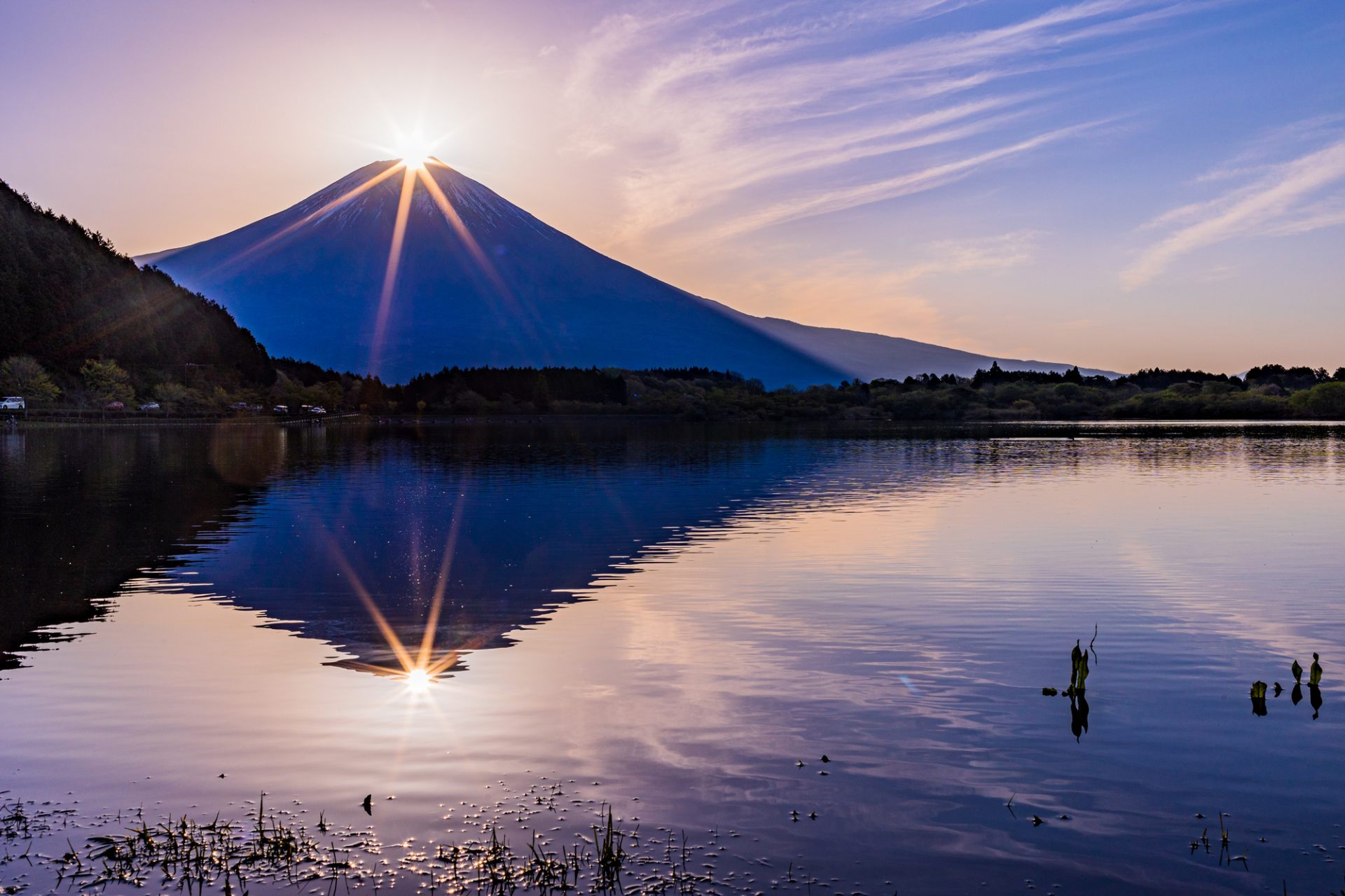 造访静冈县享受大自然的疗愈！静冈大自然景点5选！ | 好运日本行