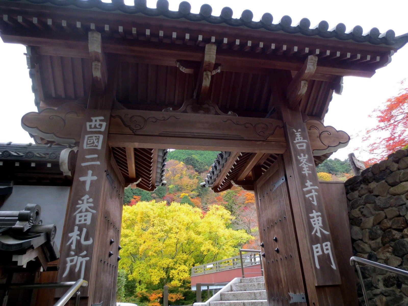 四季皆美的赏花秘境 京都善峰寺 善峰寺 枫叶篇 好运日本行