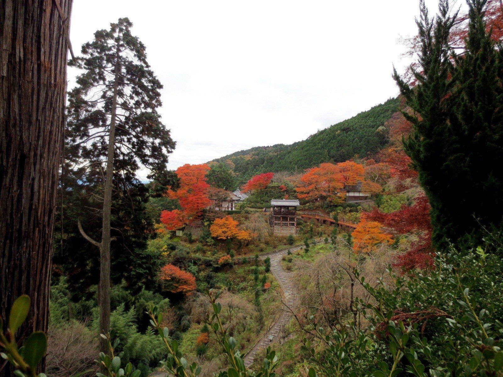 能一望京都盆地的天空之寺 三钴寺 好运日本行