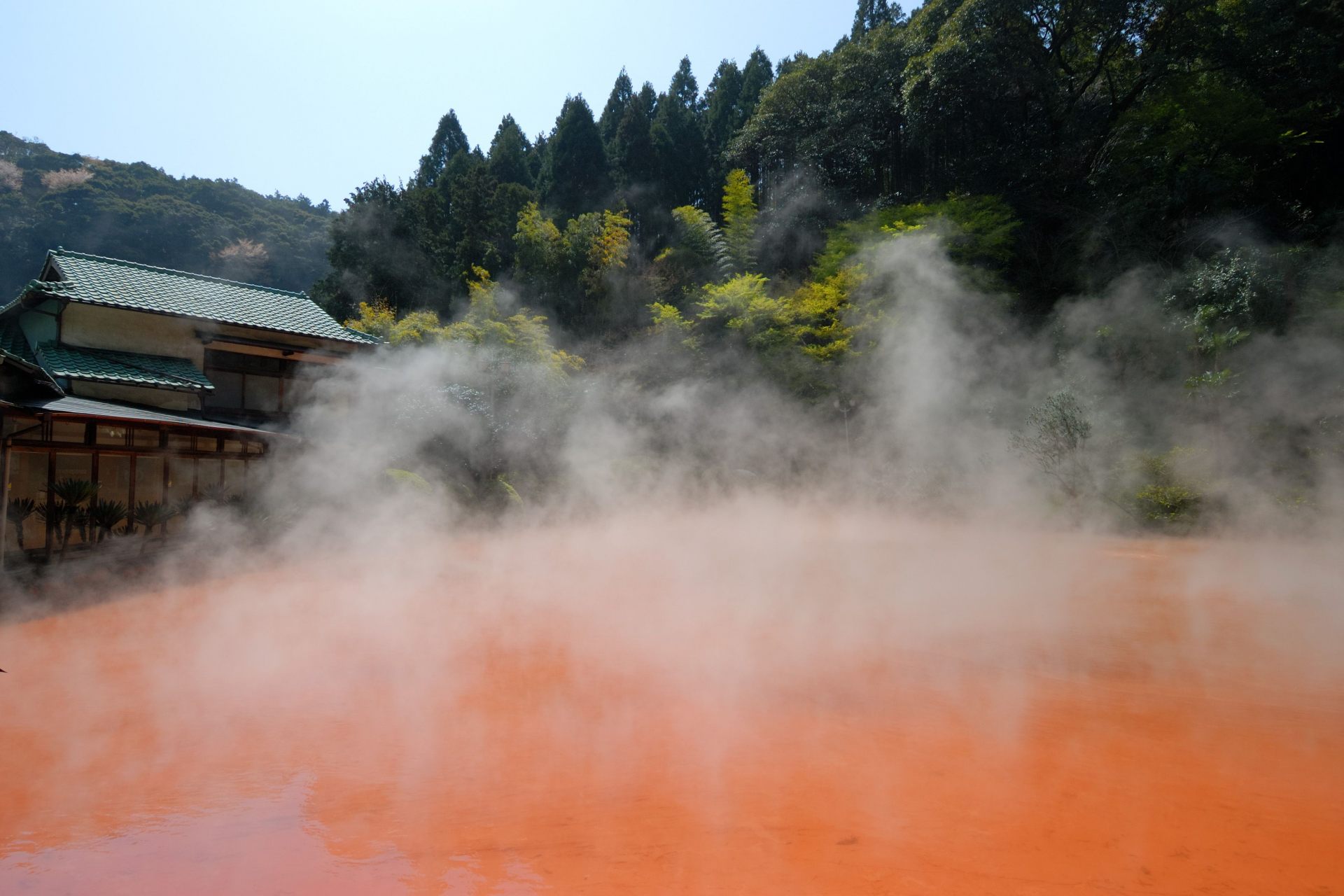 大分县 别府地狱温泉巡礼 好运日本行