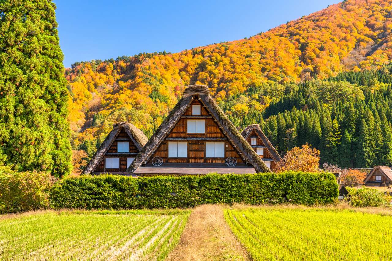 Recommended Photo Spots in Shirakawa-go | GOOD LUCK TRIP