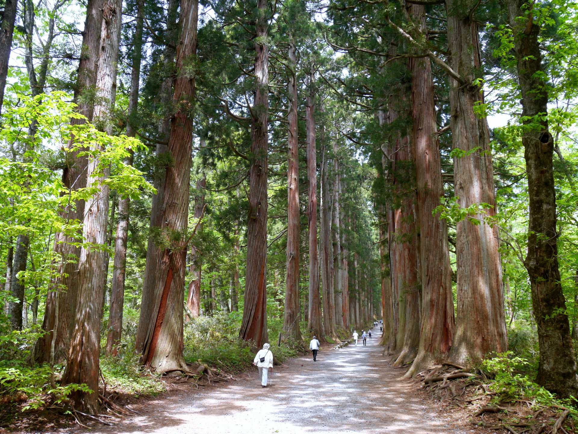 户隐神社 好运日本行