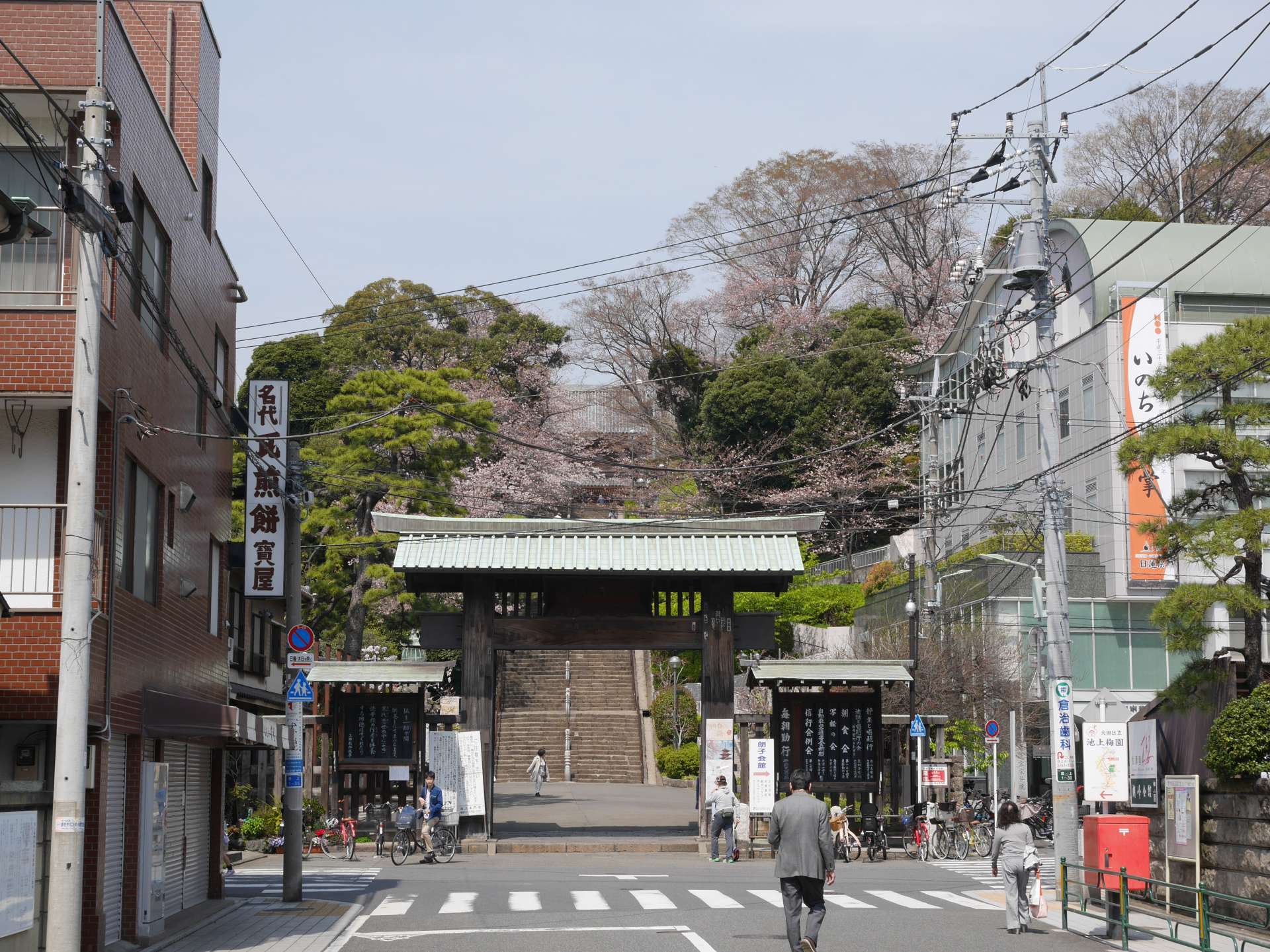 東京 池上本門寺 五重塔與櫻花的賞花散步 好運日本行