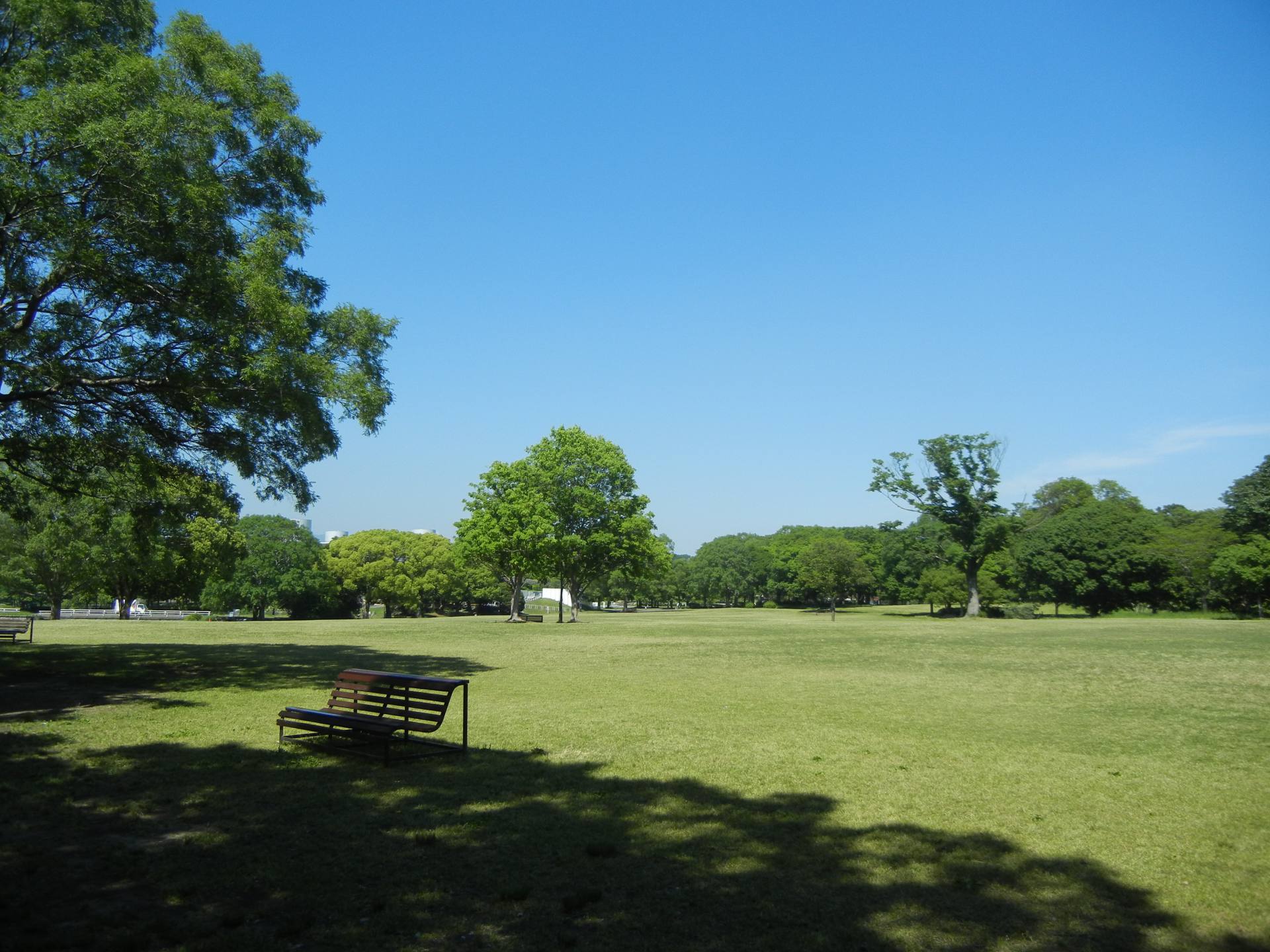 大阪 自然的藝術 到萬博紀念公園欣賞美麗新綠 好運日本行