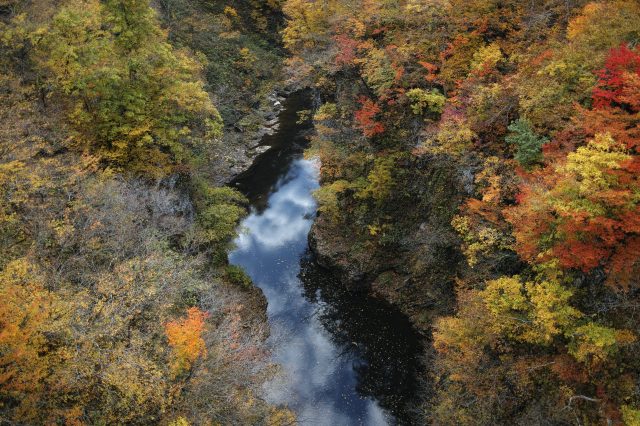 宮城楓葉景點 在 長老湖 欣賞楓紅如火的紅葉和南藏王的名峰 好運日本行