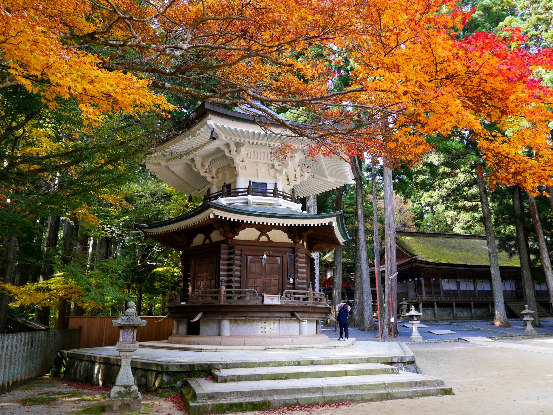 世界遗产·高野山赏枫】金刚峰寺·坛上伽蓝枫红如画 | 好运日本行