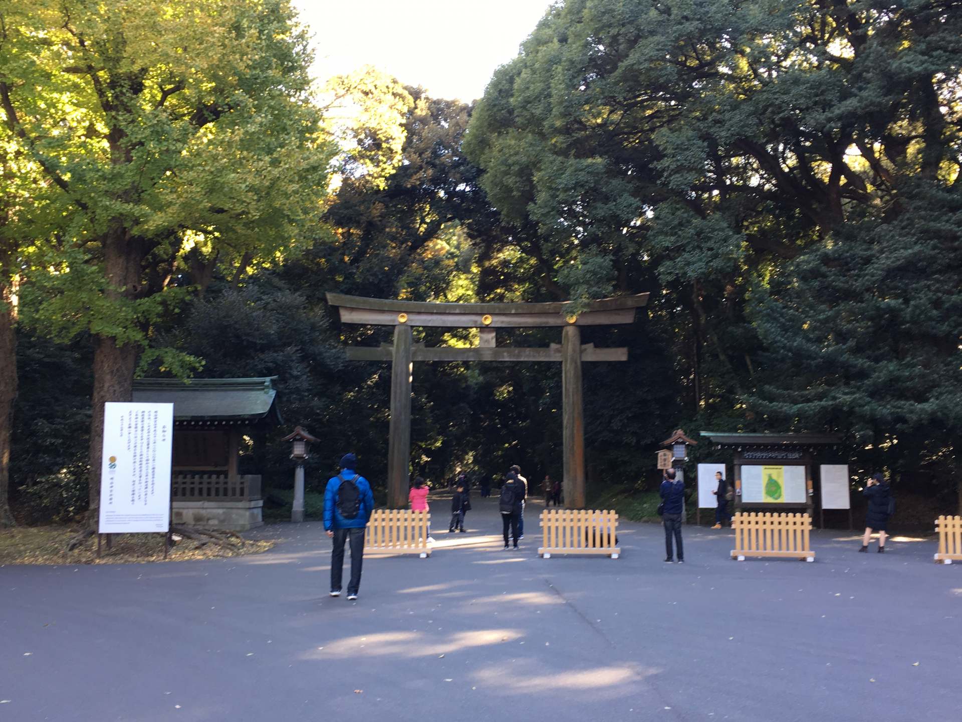 明治神宮外苑 內苑 漫步東京之秋的亮麗風景線 第2頁 好運日本行