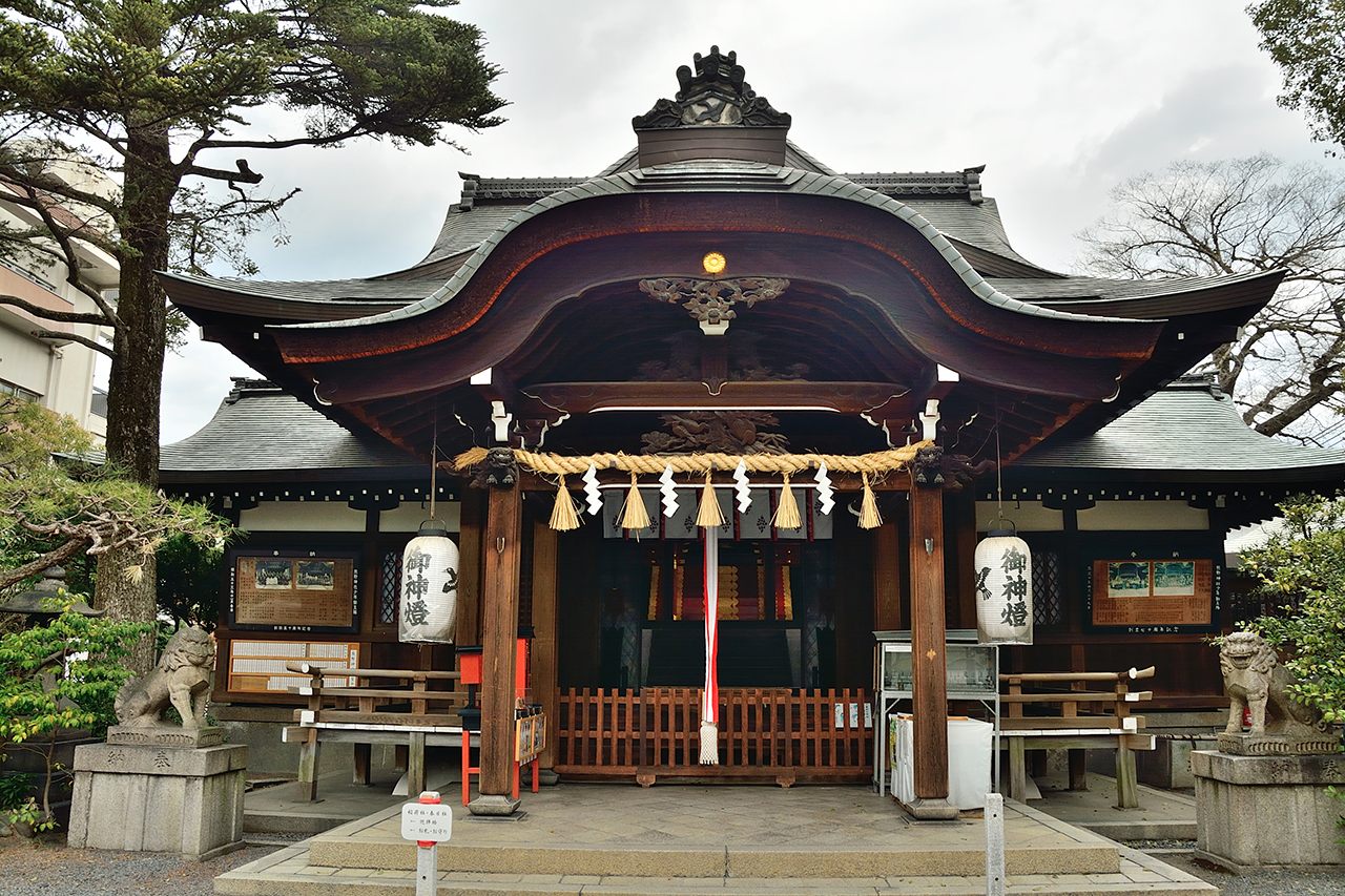 京都熊野神社赏樱 好运日本行