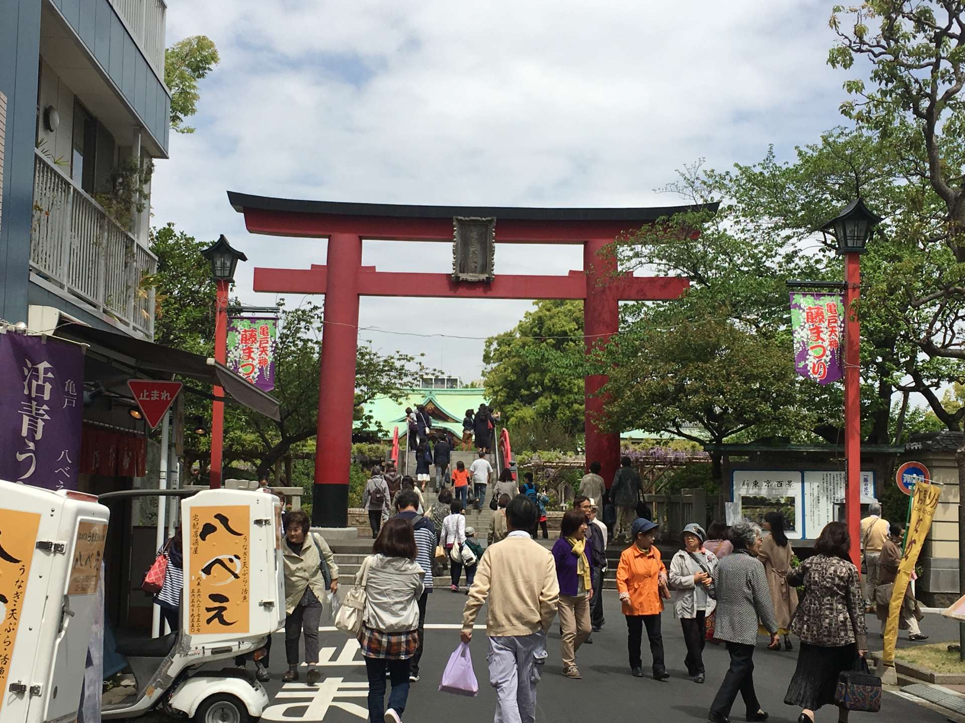 江户名所 龟户天神社紫藤祭 好运日本行