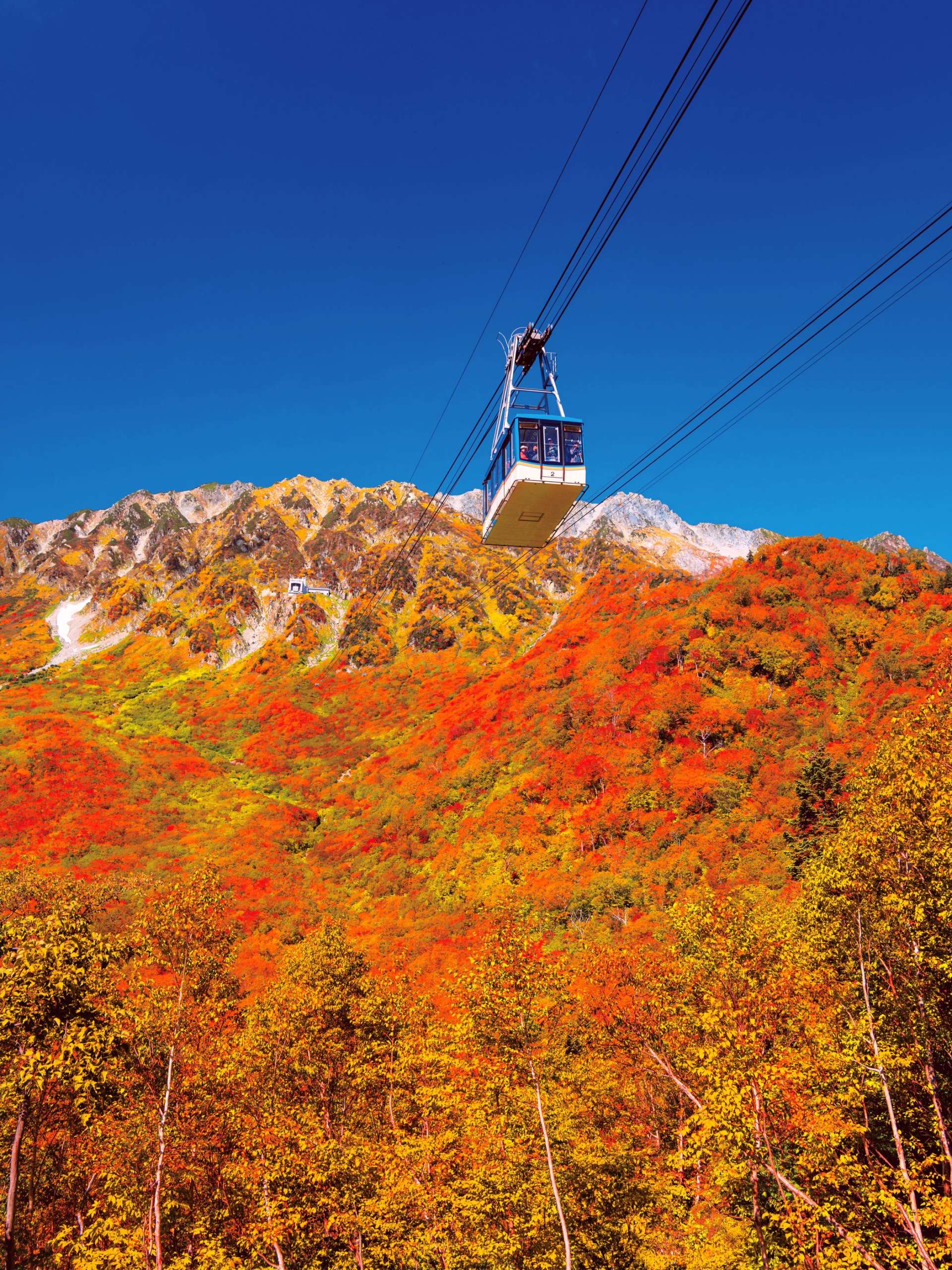 欣賞秋季楓葉 立山黑部阿爾卑斯山脈路線 好運日本行